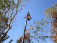 /album/telecomunica%c3%a7%c3%b5es/img-1344-jpg/
