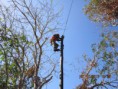/album/telecomunica%c3%a7%c3%b5es/img-1346-jpg/