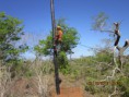 /album/telecomunica%c3%a7%c3%b5es/img-1352-jpg/