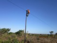 /album/telecomunica%c3%a7%c3%b5es/img-1357-jpg/