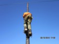 /album/telecomunica%c3%a7%c3%b5es/img-1359-jpg/
