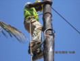 /album/telecomunica%c3%a7%c3%b5es/img-1431-jpg/