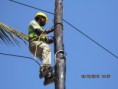 /album/telecomunica%c3%a7%c3%b5es/img-1432-jpg/