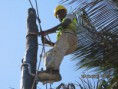 /album/telecomunica%c3%a7%c3%b5es/img-1434-jpg/